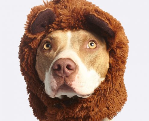 keyword-recherche-kunden-suche_08