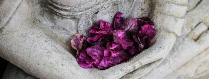 Meditation – Buddhastatue