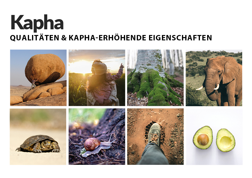 Kapha Eigenschaften